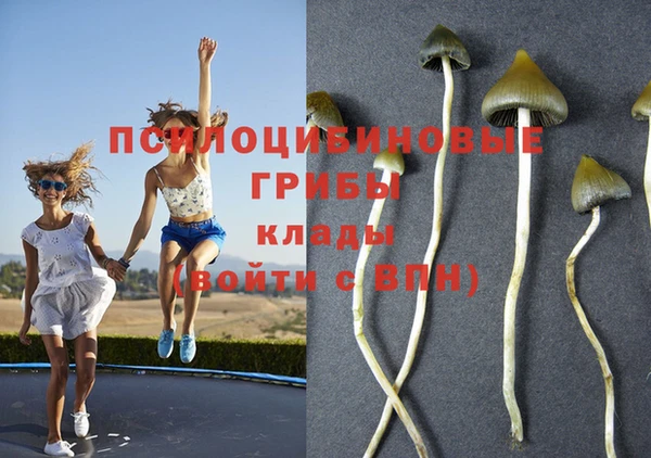 молекула духа Балабаново