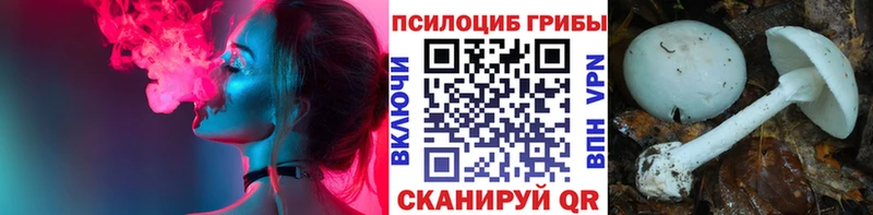 хочу   Нерюнгри  Псилоцибиновые грибы прущие грибы 